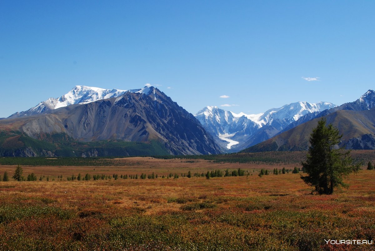 Язулинский перевал горный Алтай