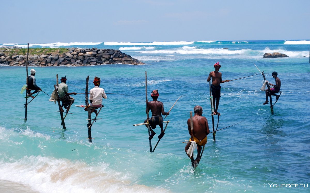 Рыбаки на Шри Ланке на шестах