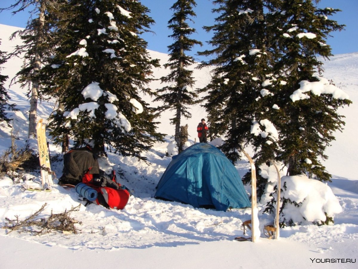 Палатка в лесу зимой