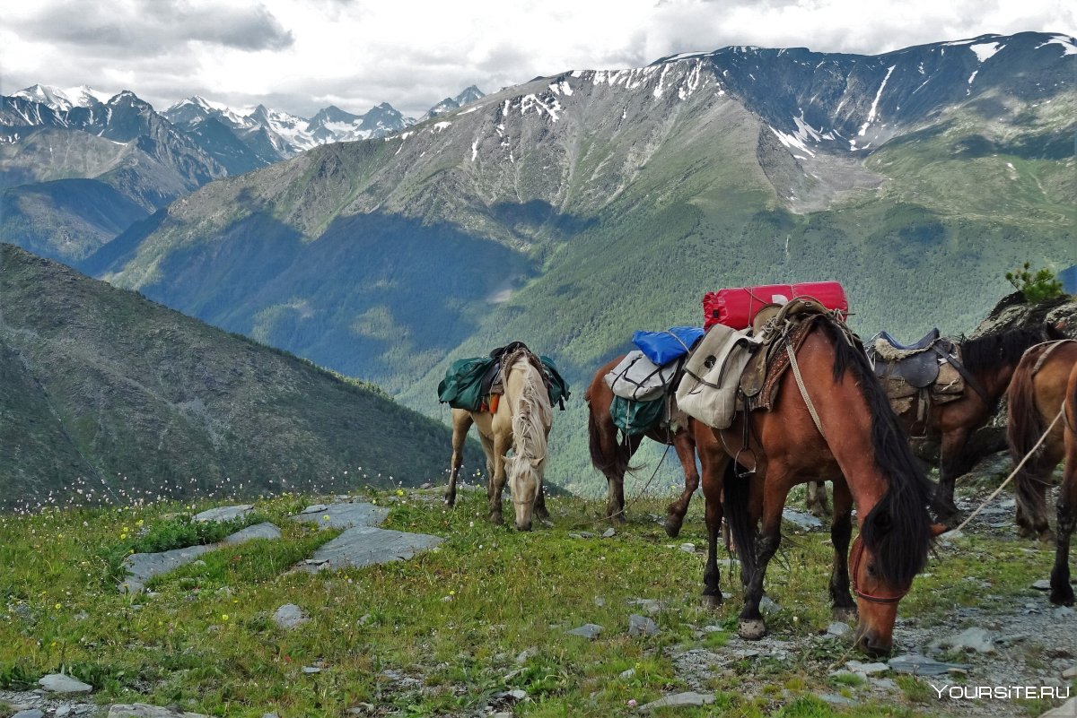 Конный поход горный Алтай