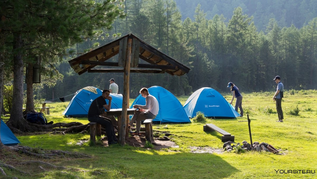 Палаточный кемпинг Алтай