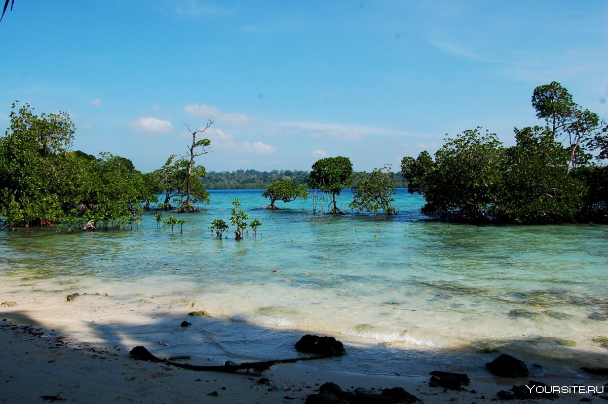 Чау Андаманские острова