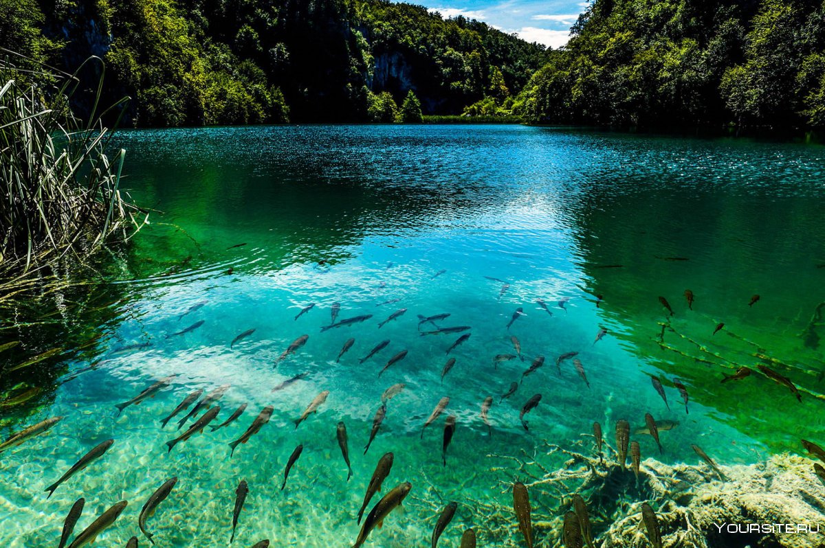 Плитвицкие озера - крупнейший национальный парк Хорватии