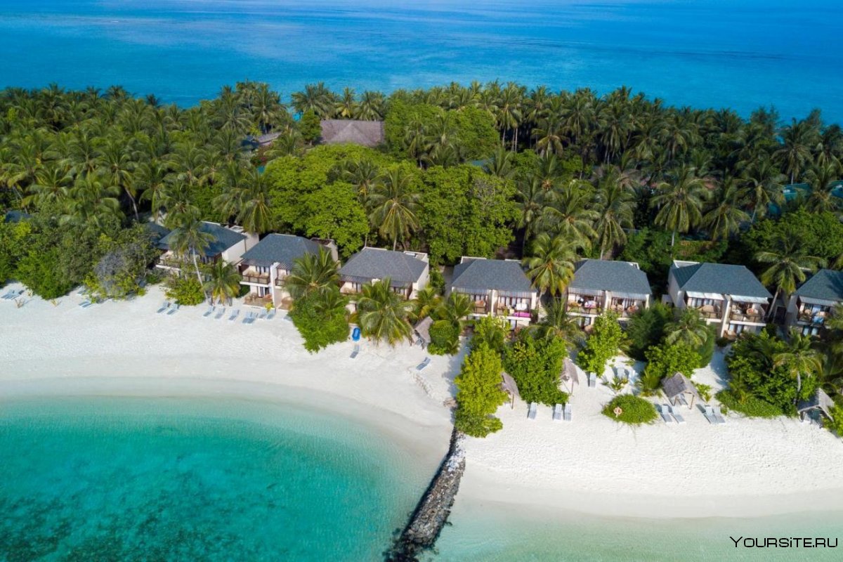Отель Fihalhohi Island Resort 3*