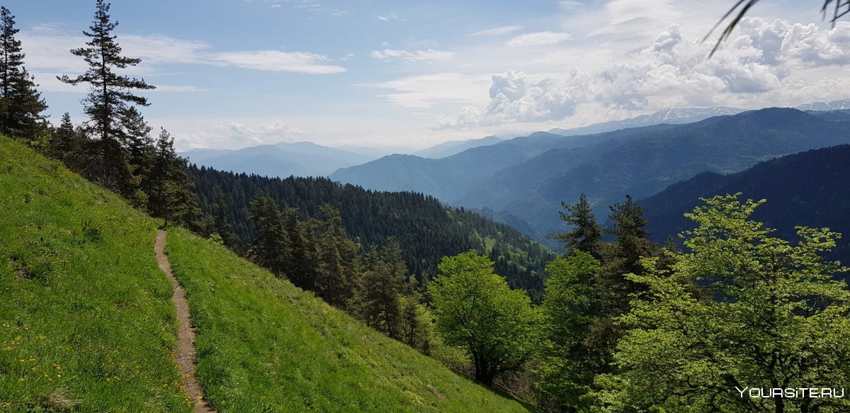 Парк Боржоми-Харагаули