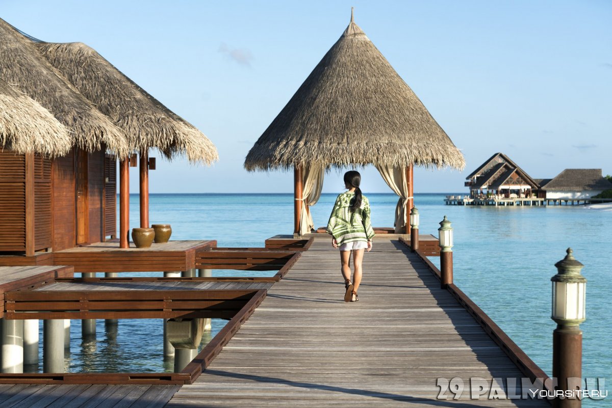 Мальдивы реальные туристов