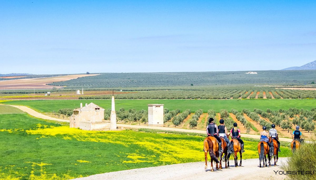 Сельский туризм в Испании