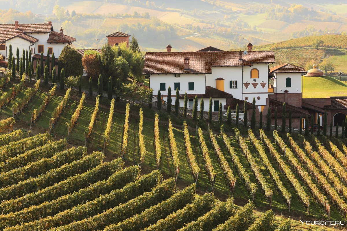 Пьемонт Италия виноградники