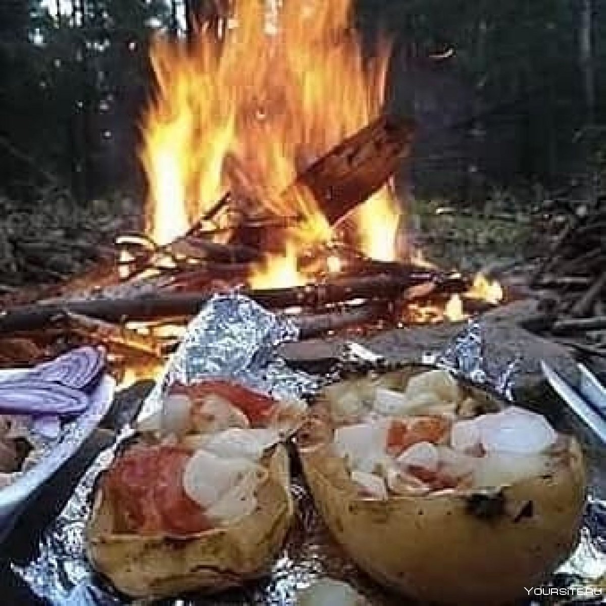 Ужин в лесу