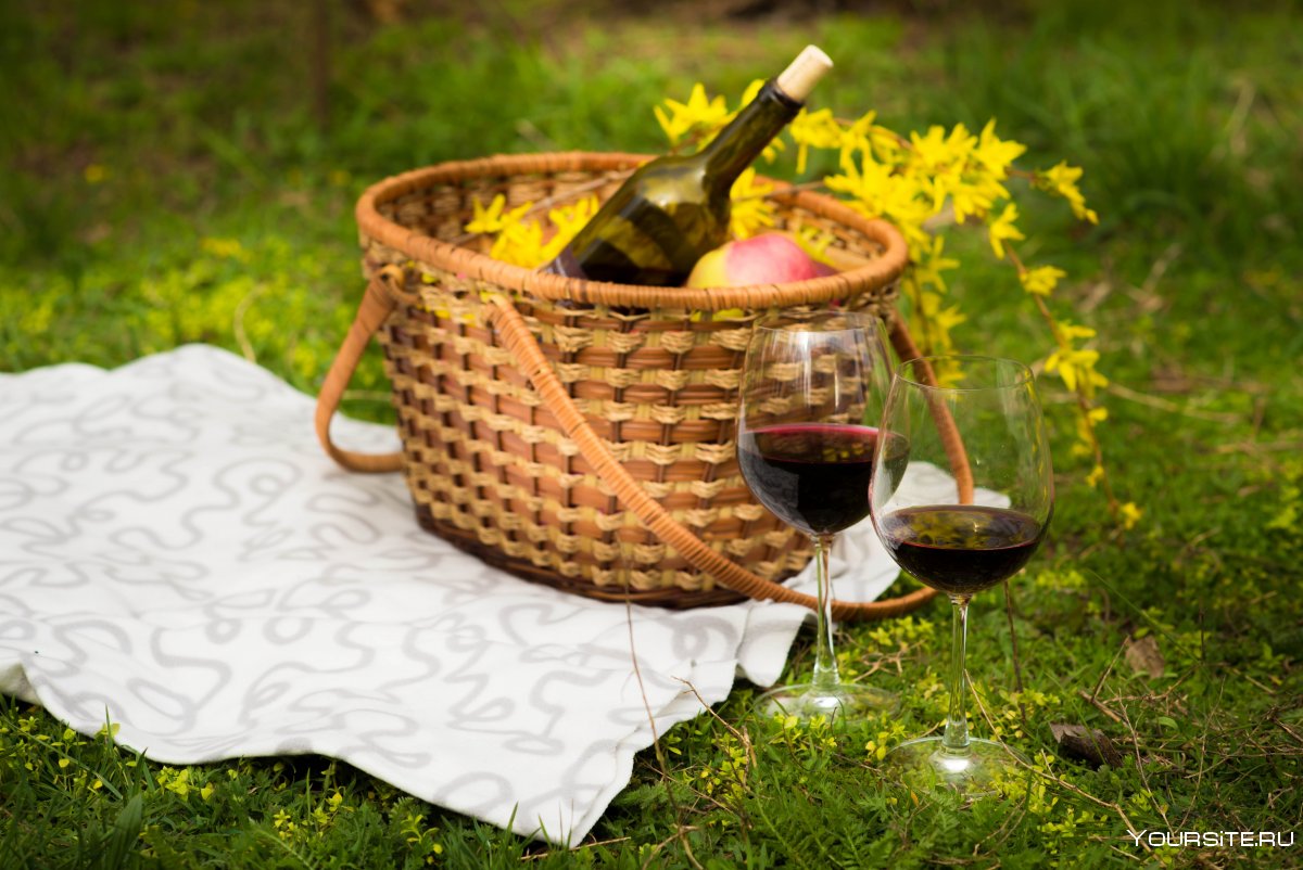 Пикник с вином