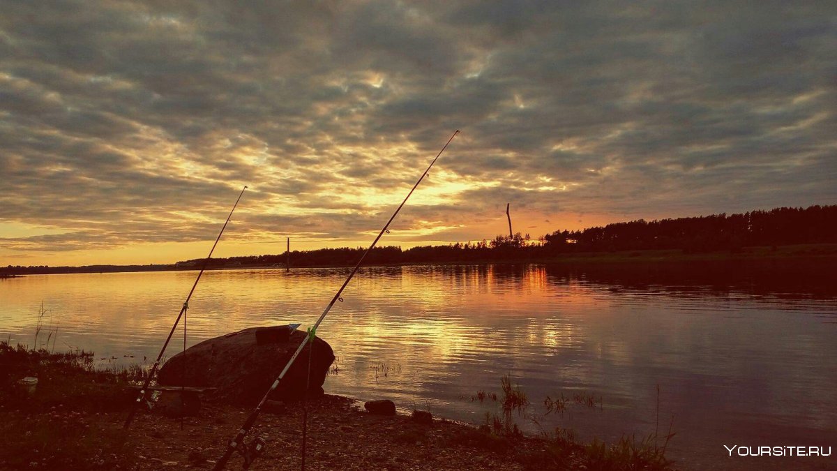 Река Волга рыбалка