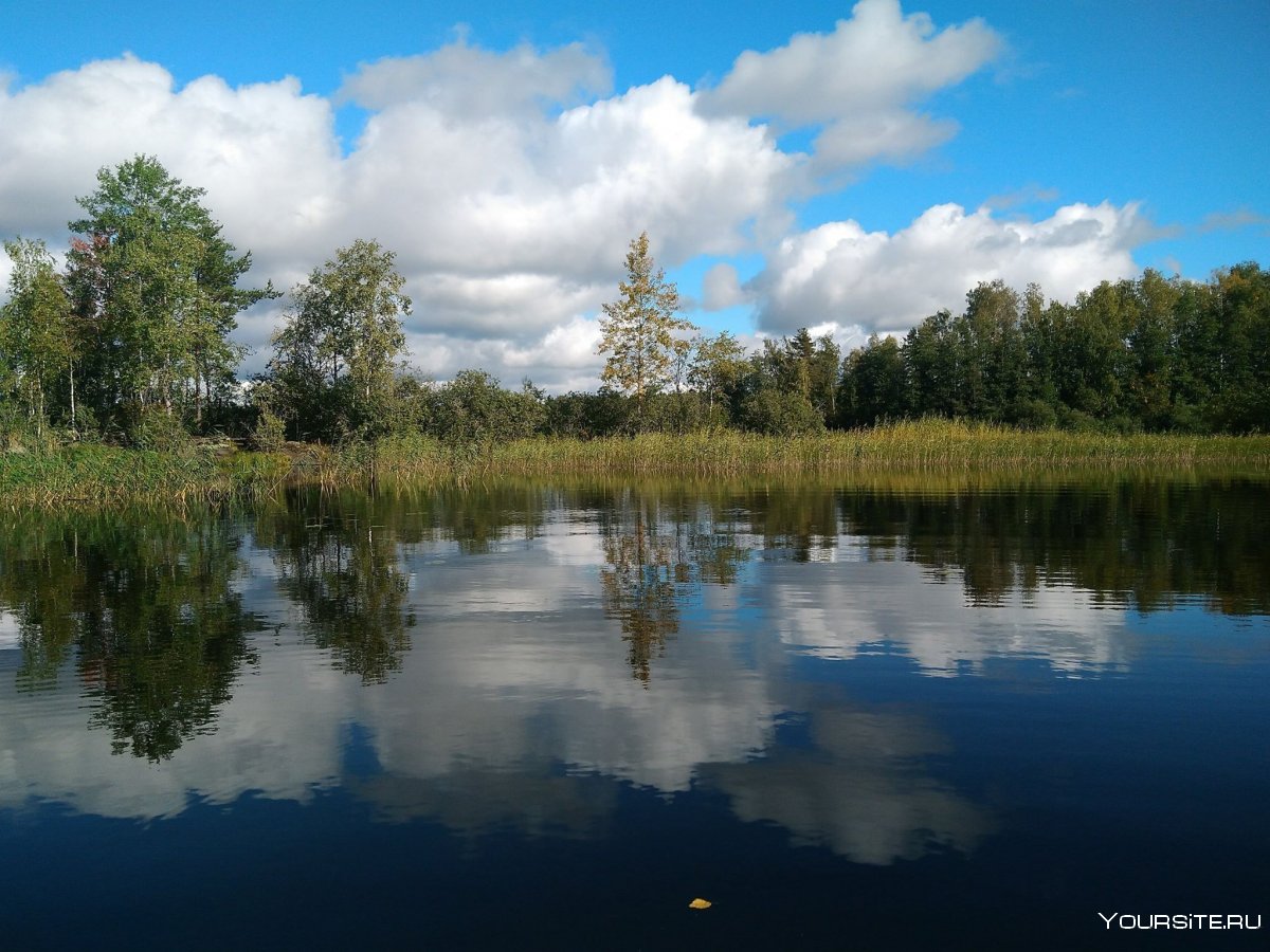 Озеро Лебяжье Ленинградская