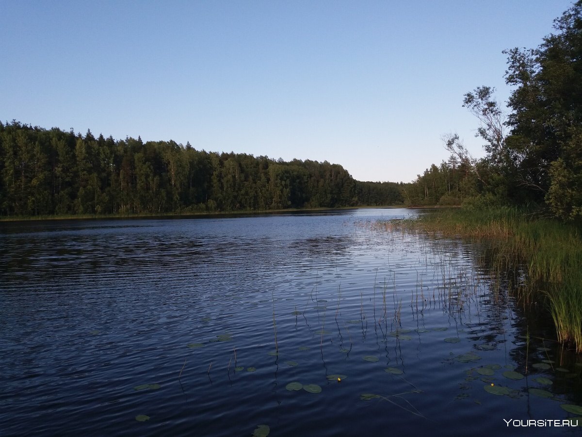 Озеро Суоенлампи Карелия