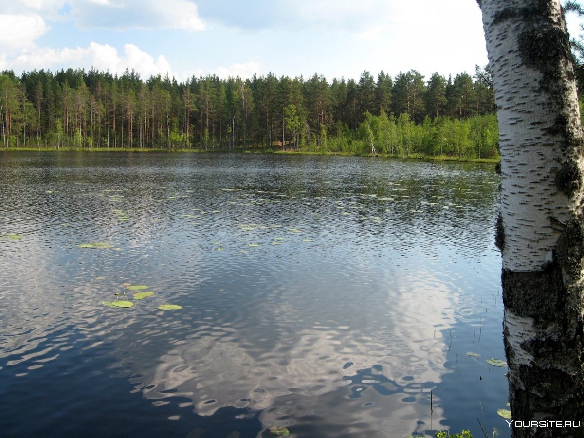 Озеро синие Ленинградская область п. Мельниково видел