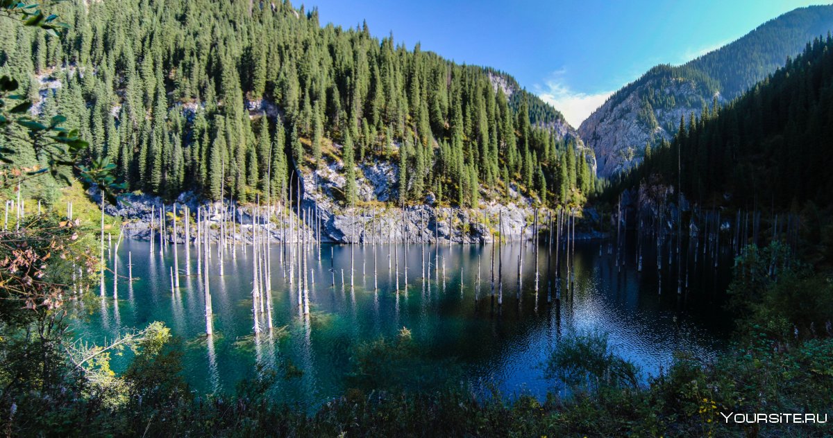 Казахстан природа озеро Каинды