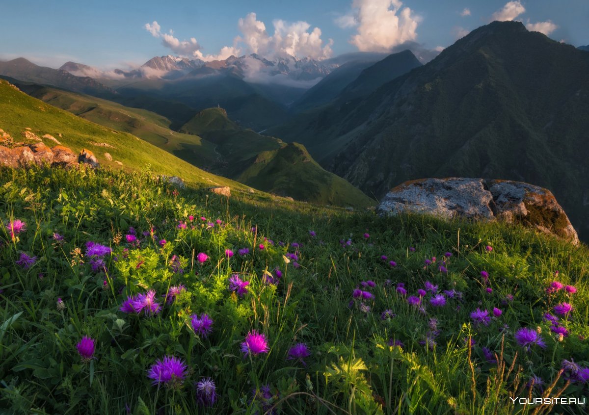 Северная Осетия горы Альпийские Луга