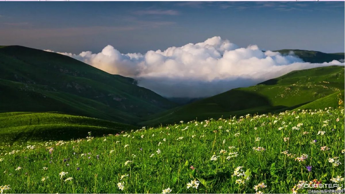 Альпийские Луга Кавказа
