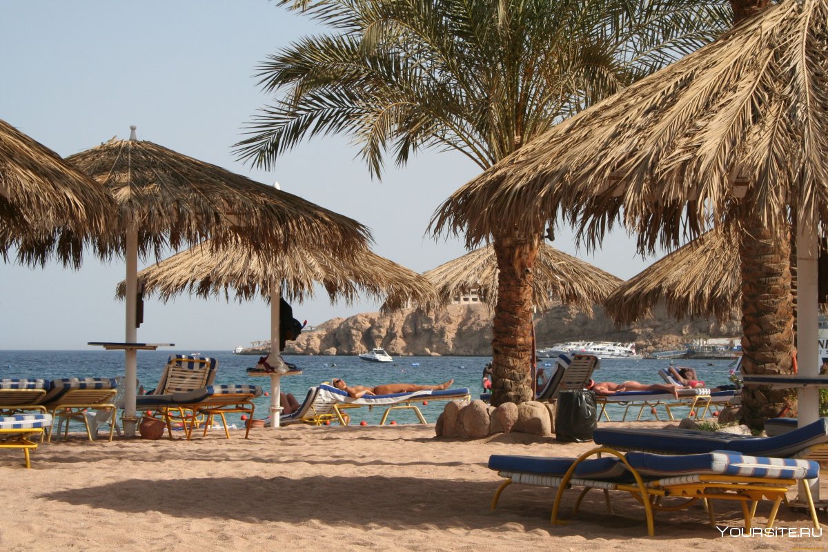Красное море Египет Шарм-Эль-Шейх