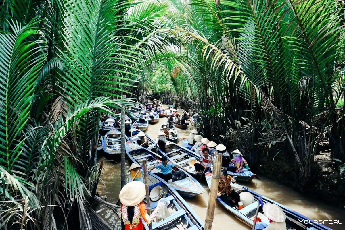 Путешествие во Вьетнам