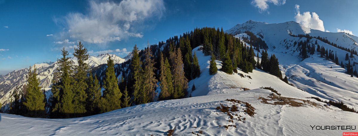 Алматы зимой панорама