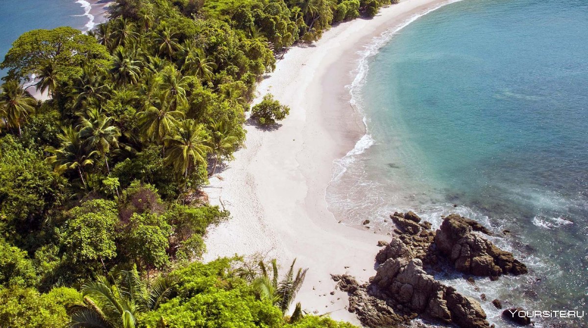 Коста Рика природа на побережье