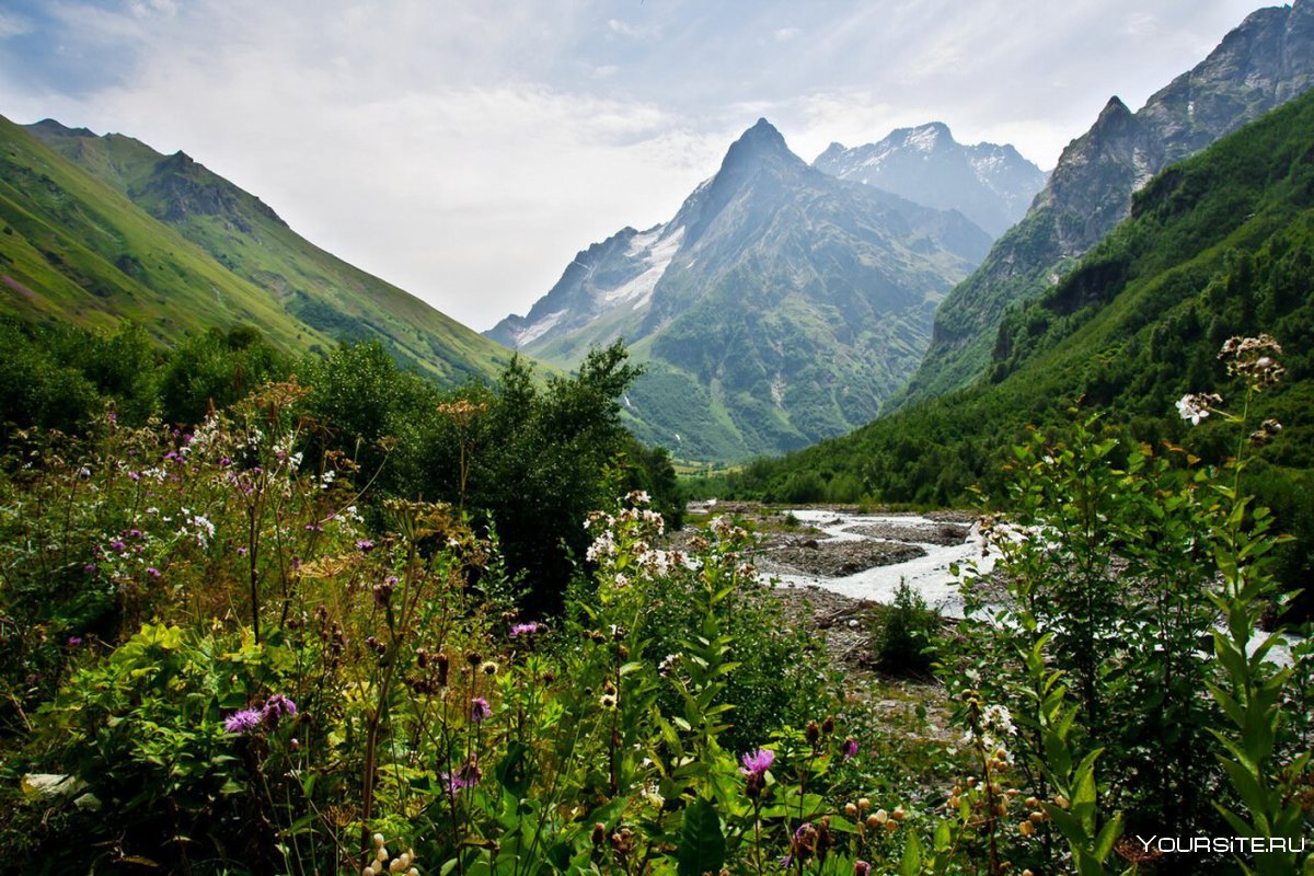 Природа Кавказа Домбай