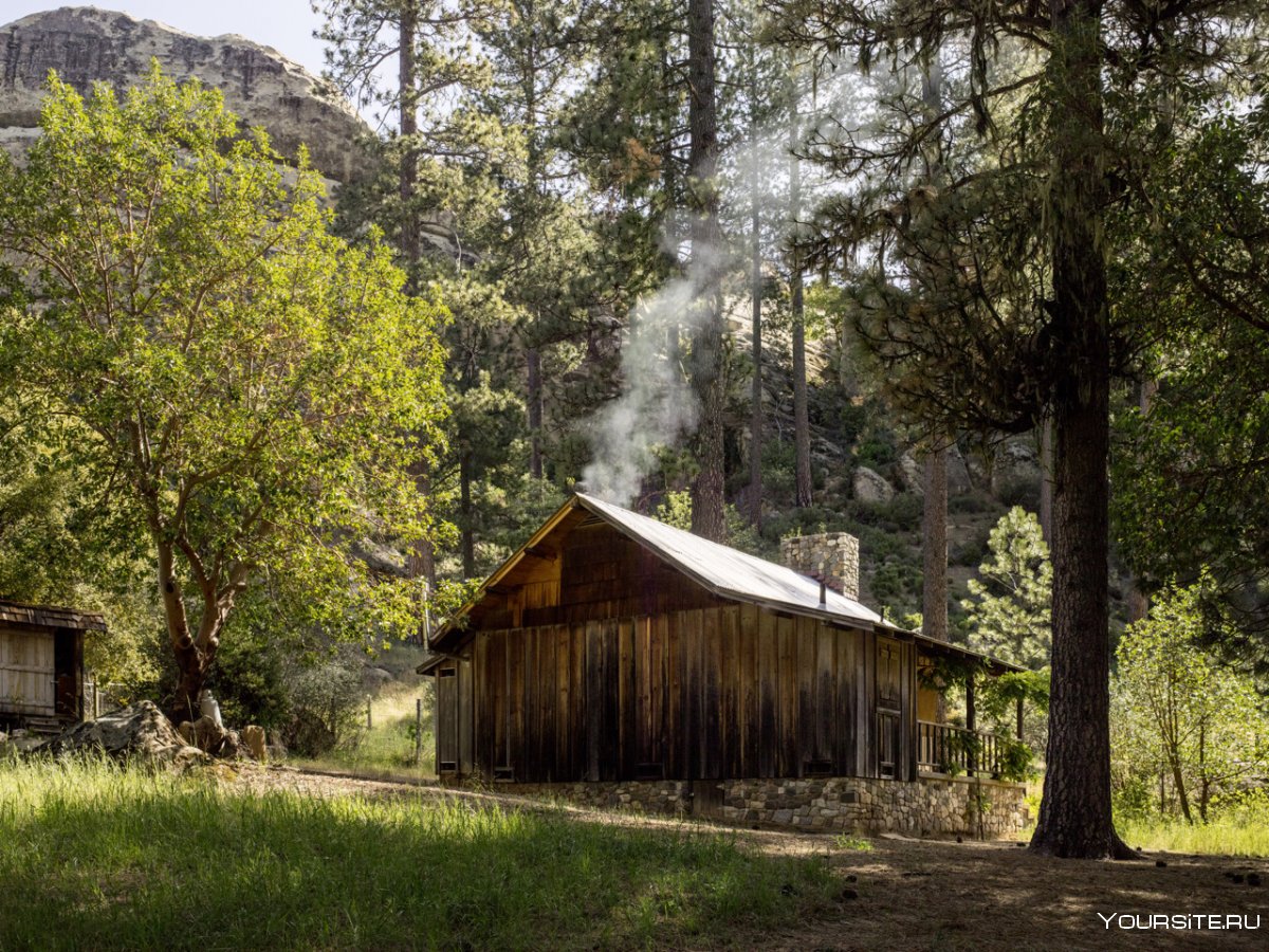 Одинокий домик в лесу вдали от цивилизации