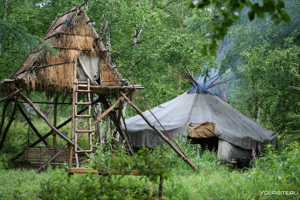 Традиционное жилище эвенков