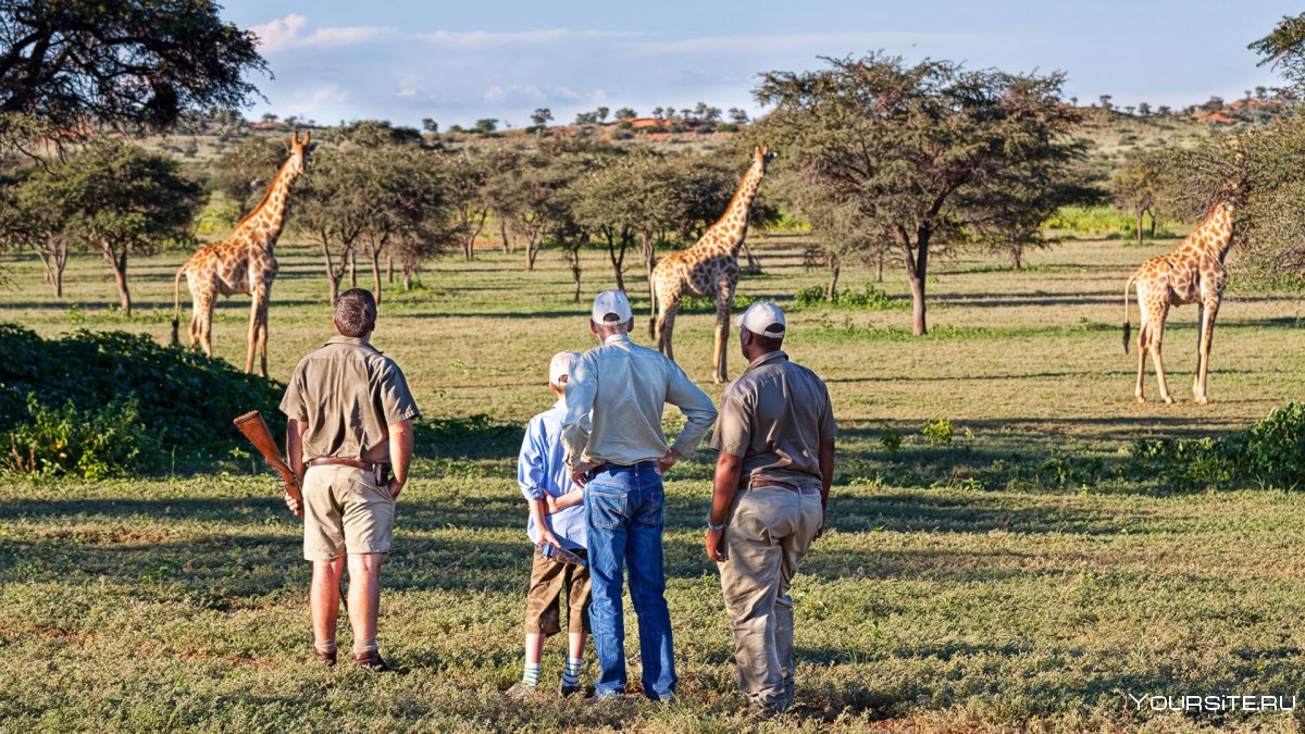 Tswalu Kalahari Safari