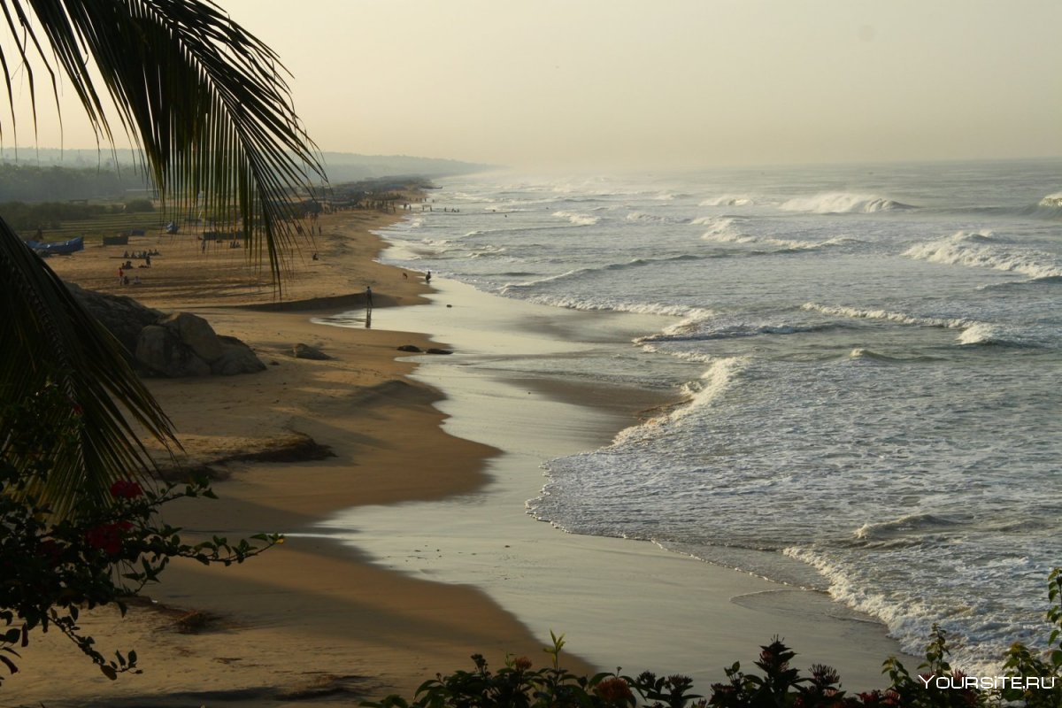 Индию: побережье Керала.