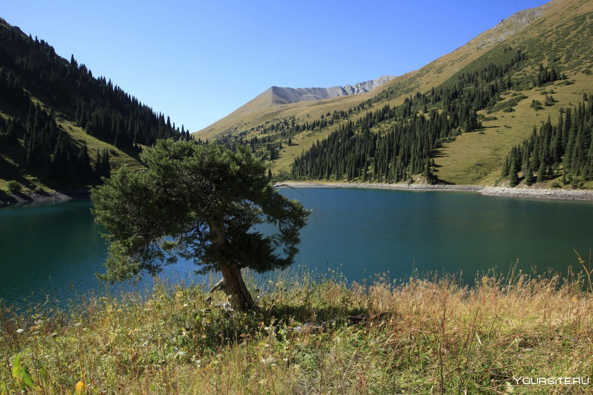 Озеро Кольсай Казахстан