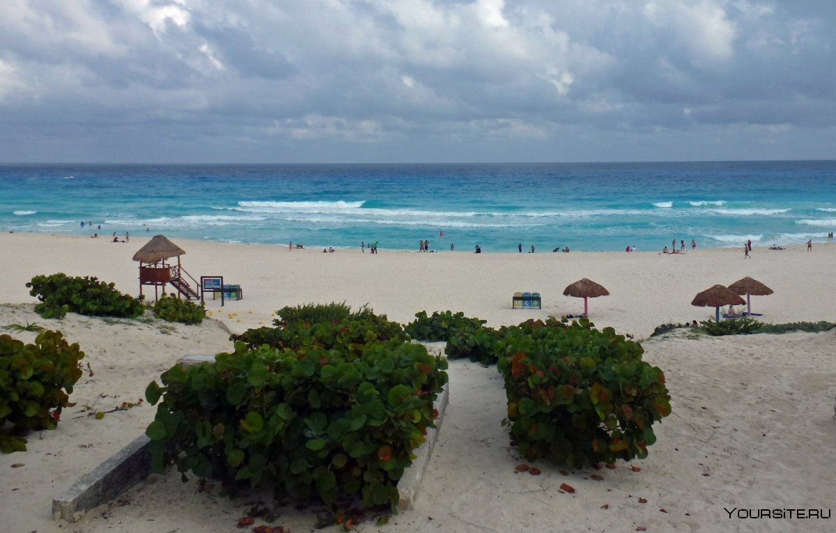 Playa forum Канкун