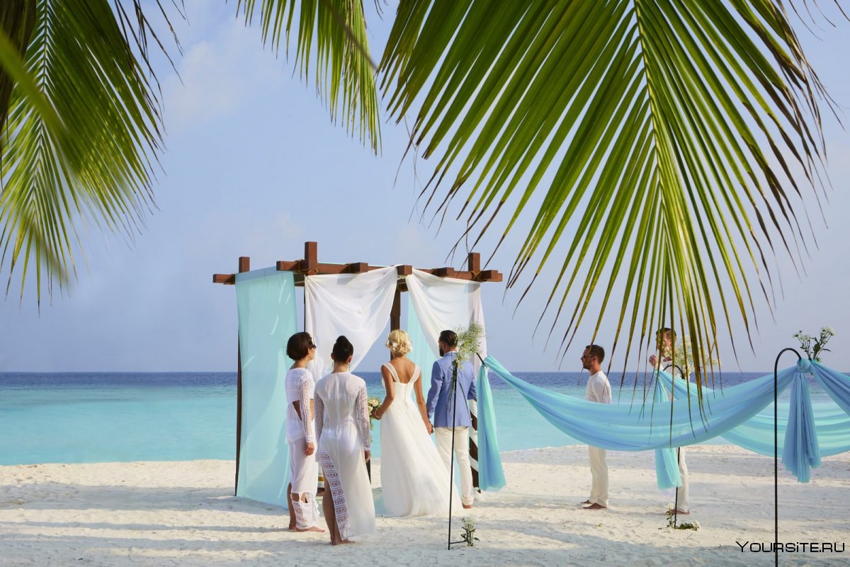 Свадьба на Мальдивах коллаж