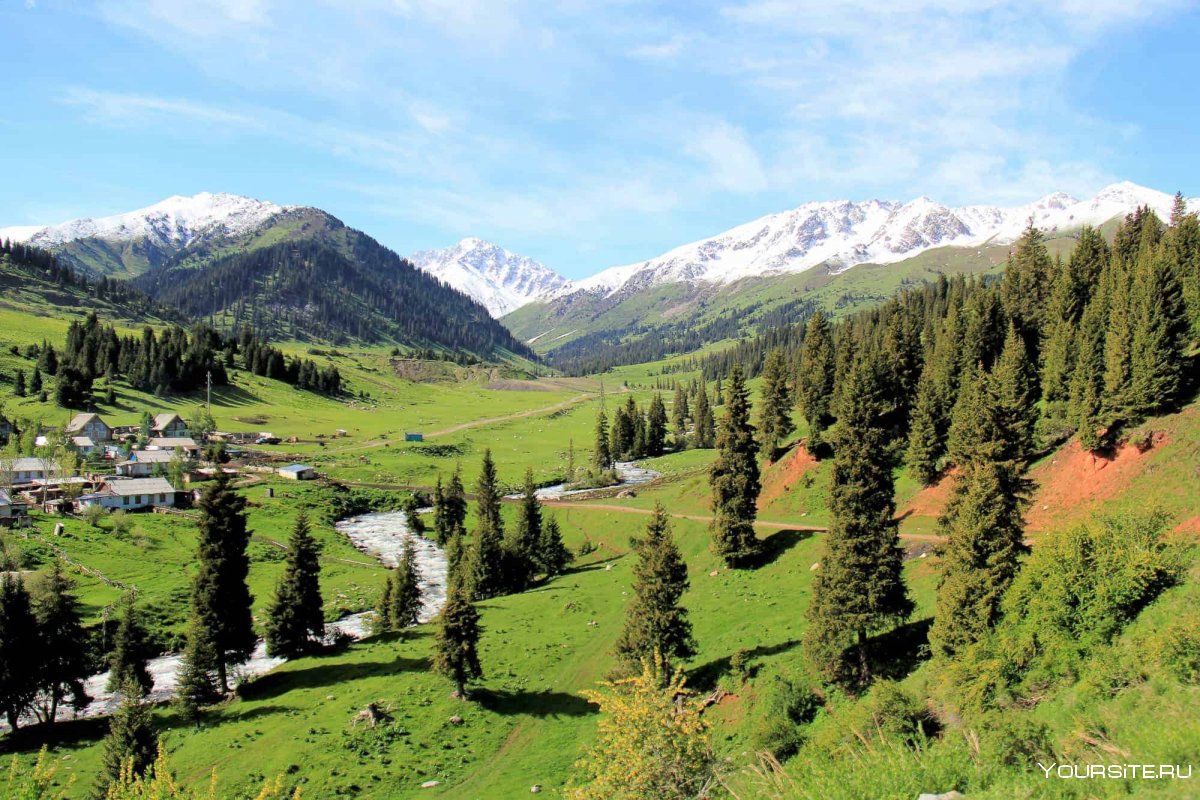 Альпийские Луга в Кыргызстане