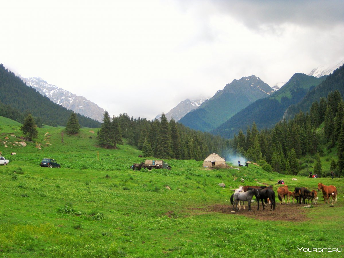 Природа Кыргызстана жайлоо