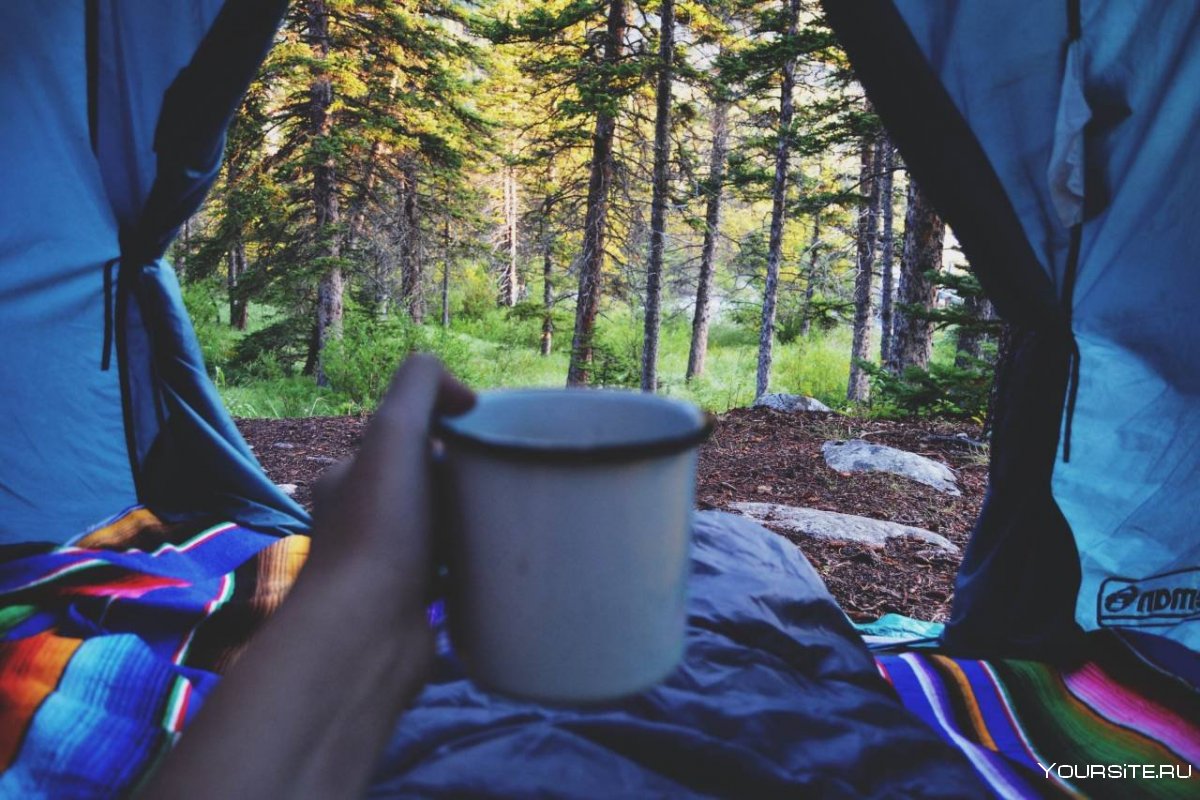 Доброе утро в палатке