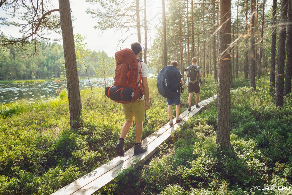 Экологический туризм в Финляндии