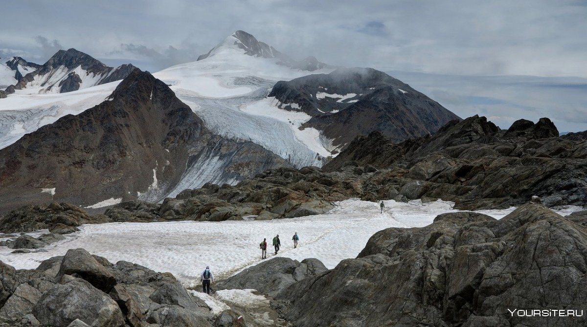 Горные (ледник Беринга на п-ове Аляска, ледник Федченко в горах Памир)