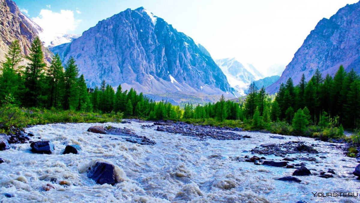 Белуха горный Алтай