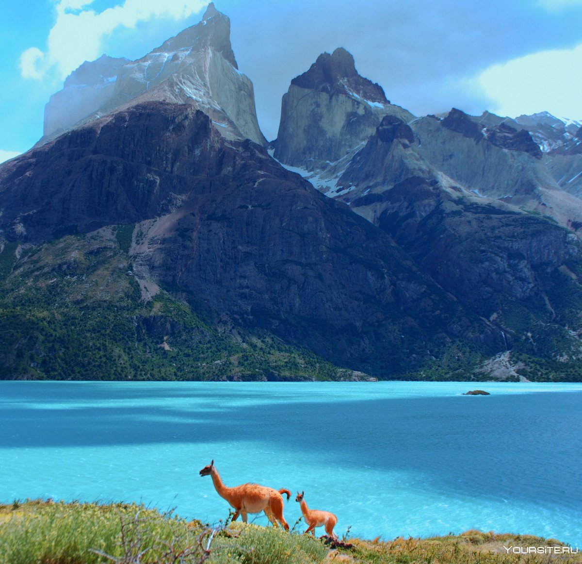 Национальный парк Патагония Чили