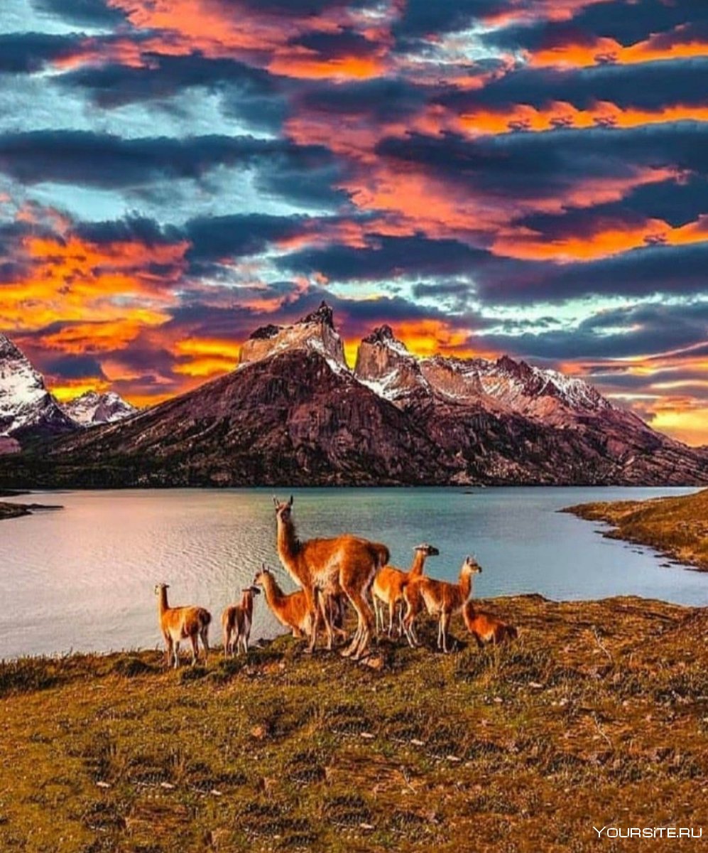 Национальный парк Торрес-дель-Пейн, Чили
