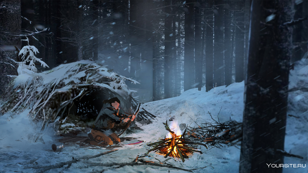 Tomb Raider зимний лес