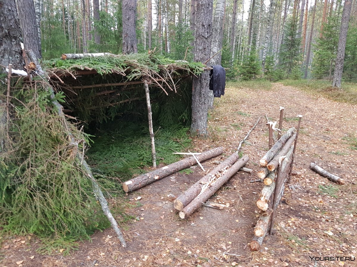 Убежище в лесу