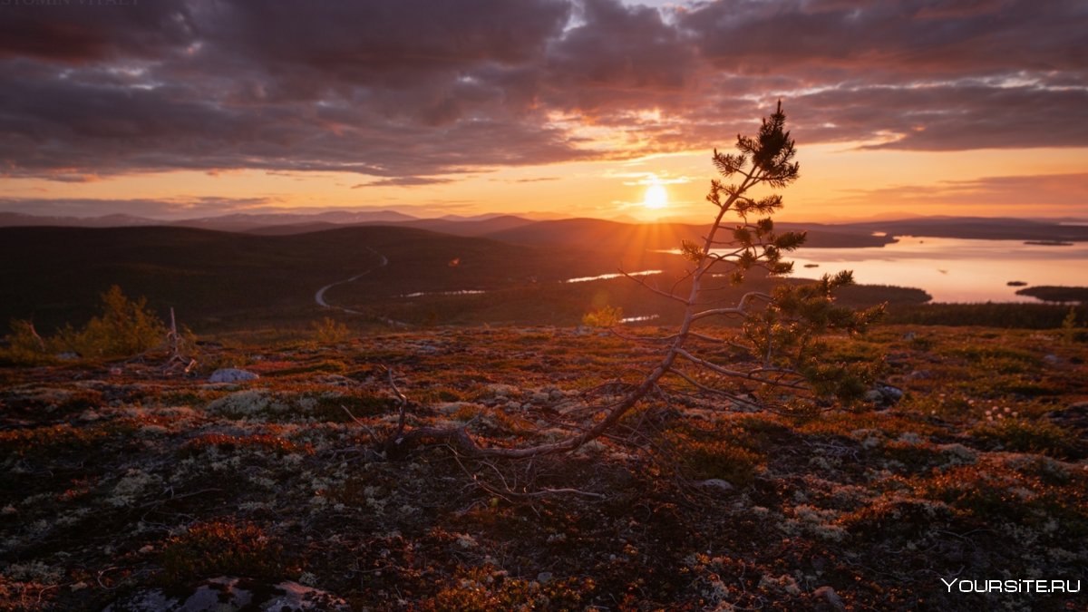 Восход солнца в тундре Ненецкий автономный округ