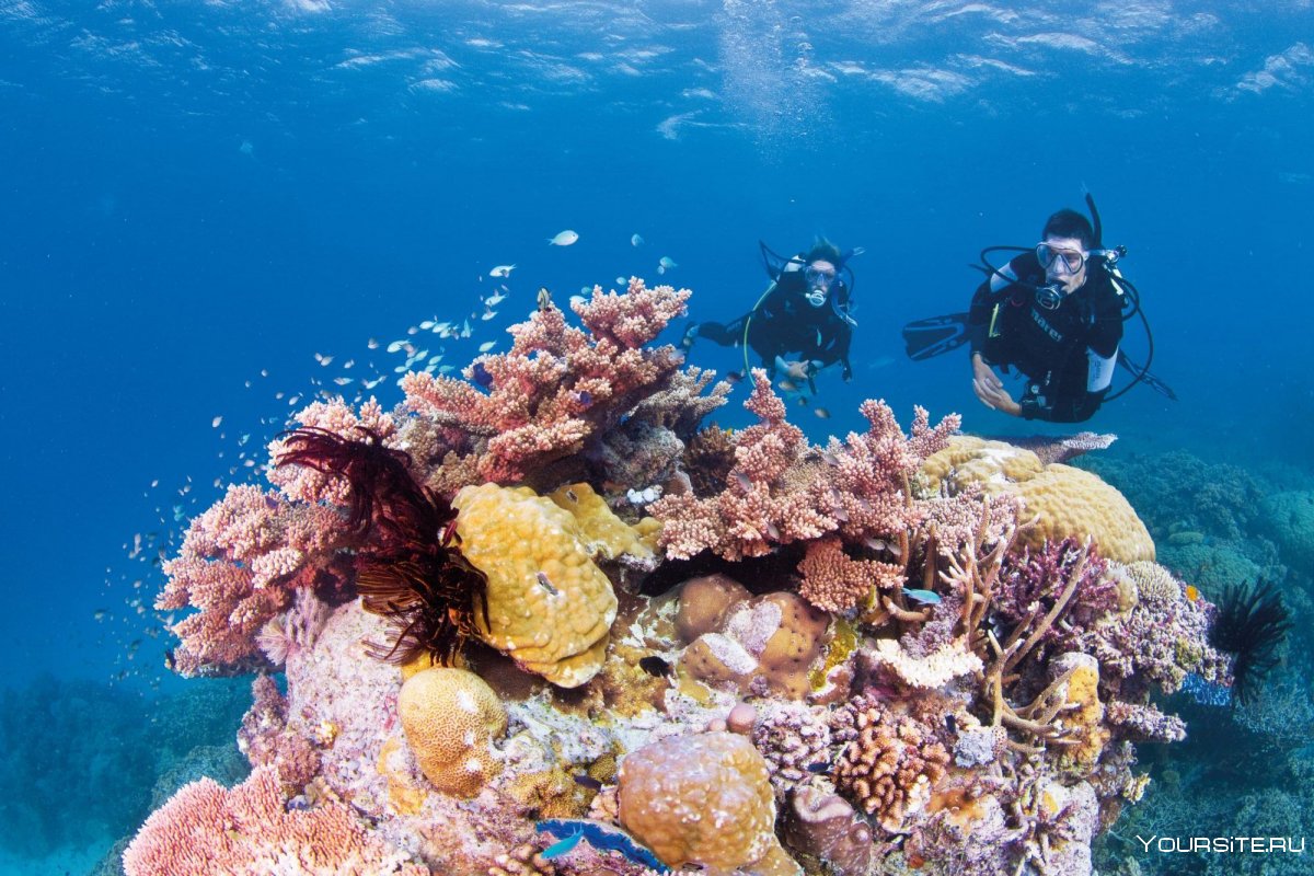 Большой Барьерный риф (самый большой в мире коралловый риф) на карт