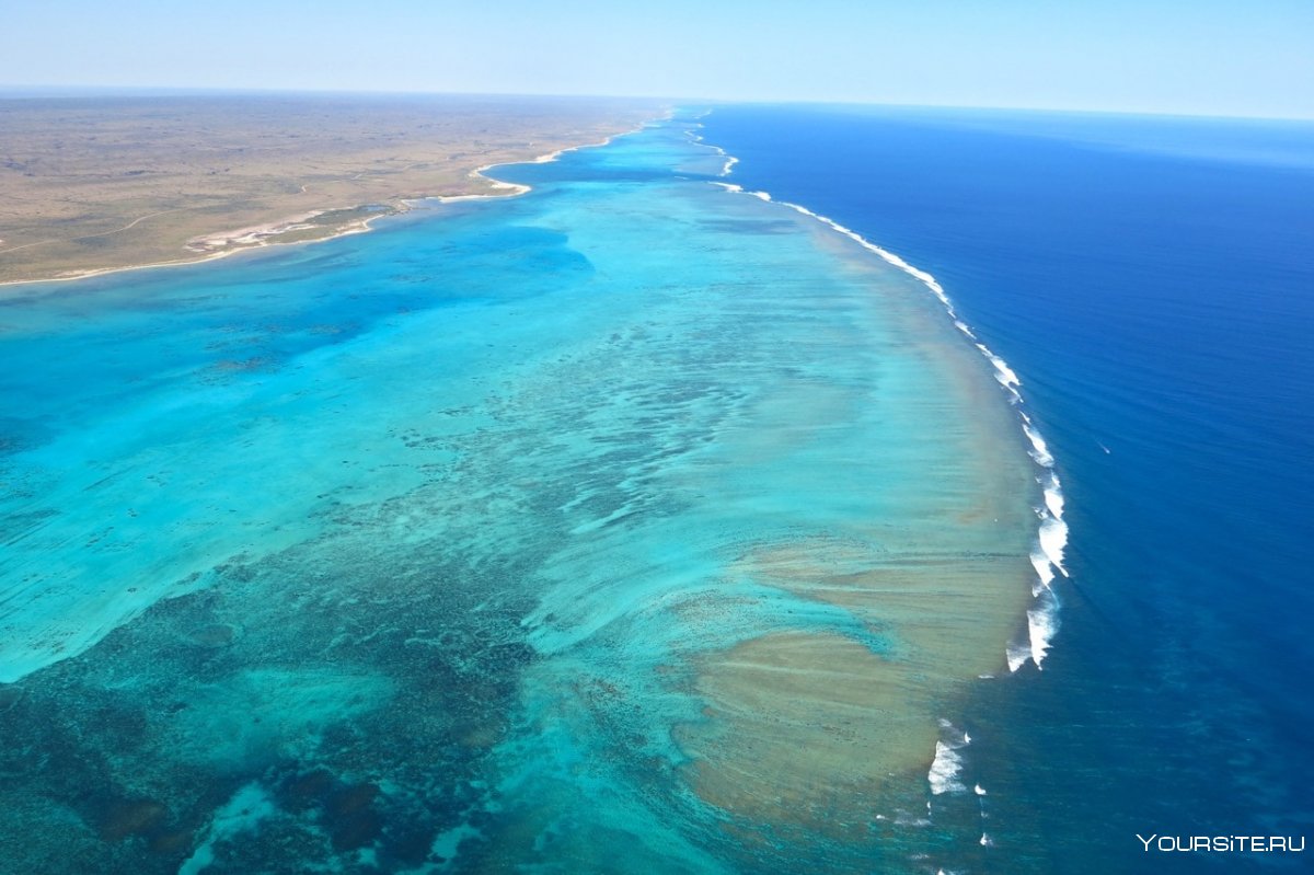 Коралловые рифы Тихого океана