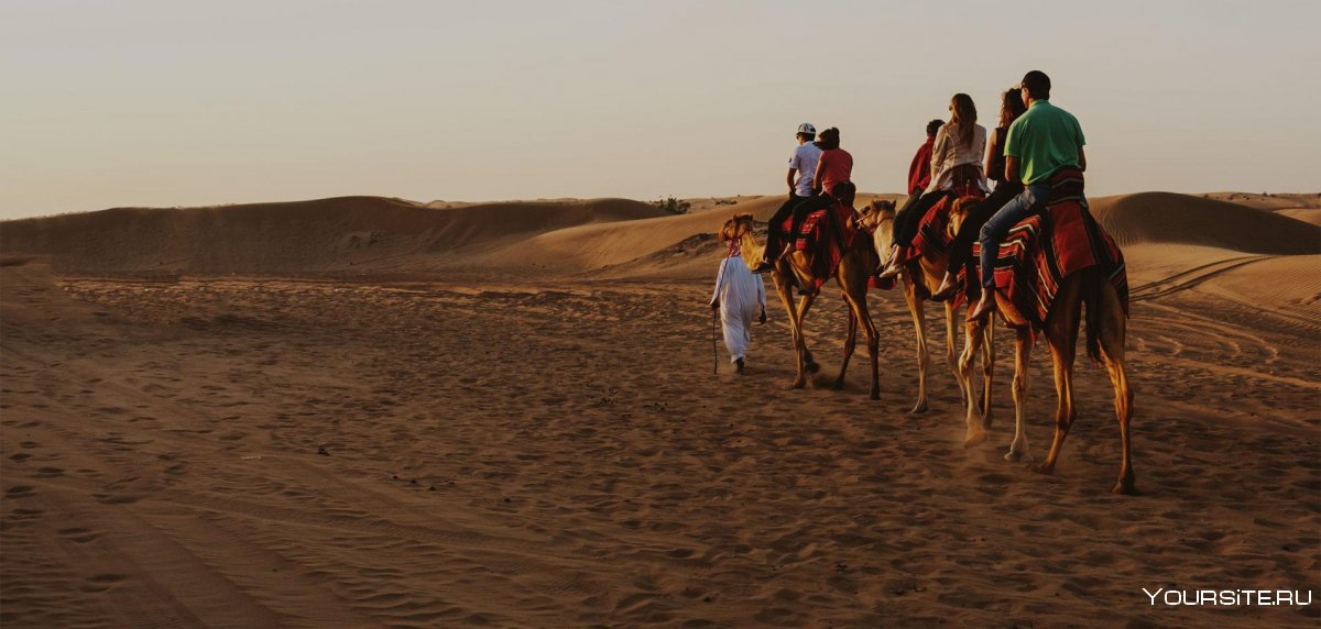 Egypt, Hurghada,Quad Safari, Camels