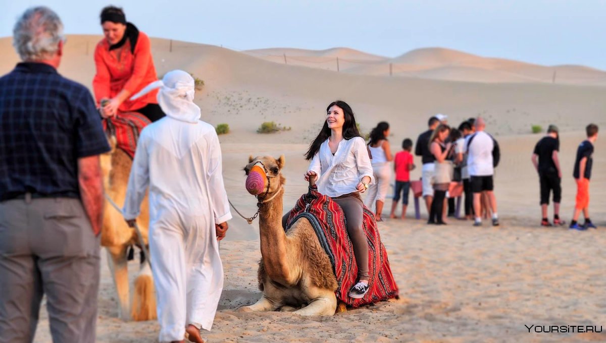 Сафари в пустыне Абу Даби