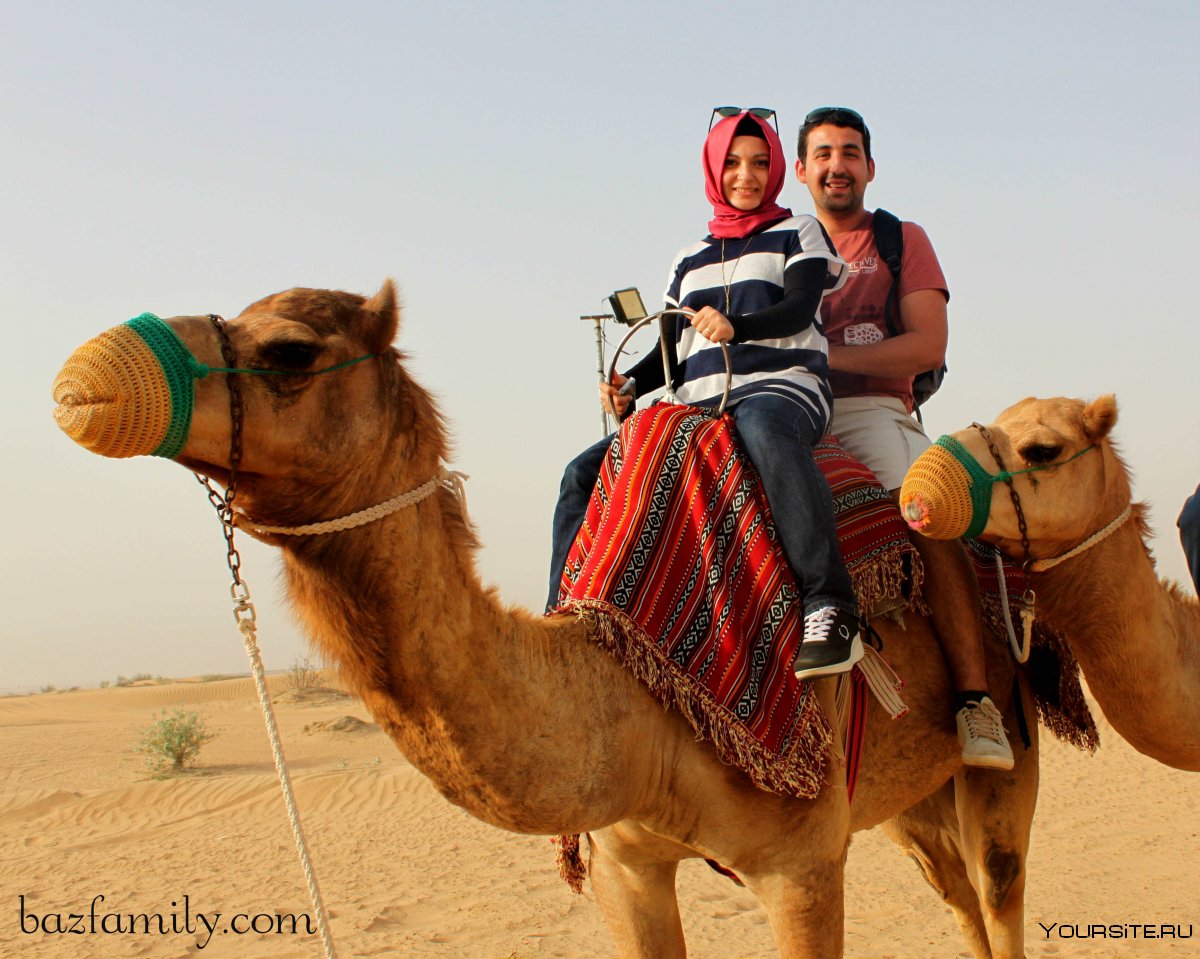 Сафари в Эмиратах экскурсия