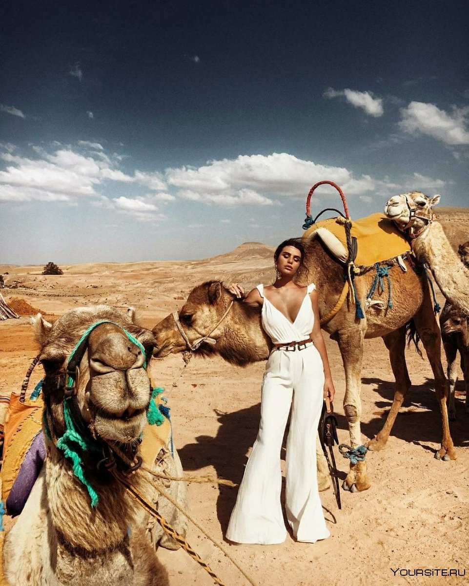 Сафари в пустыне Египта
